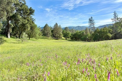 Usable Land with River Access