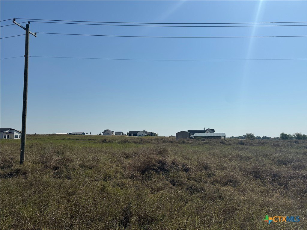 Picture 6
