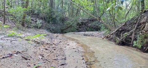 LAND - Wicksburg, AL