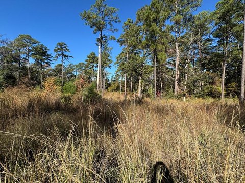 Waterfront Land on Lake Sam