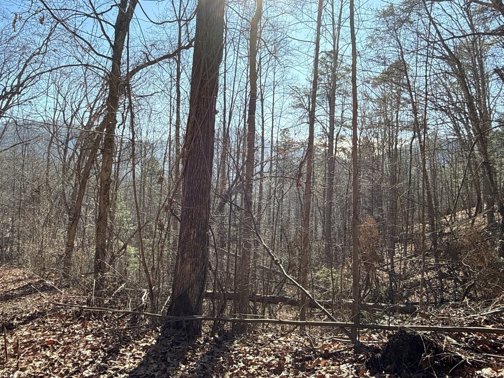 Picture 13