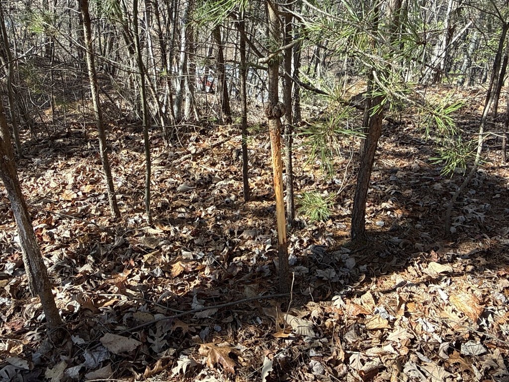 Picture 3