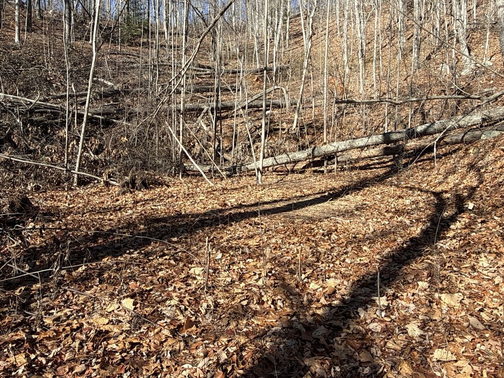 Picture 11