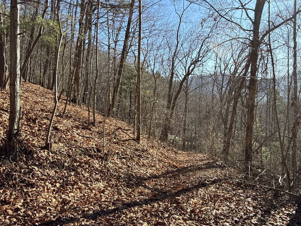 Picture 14