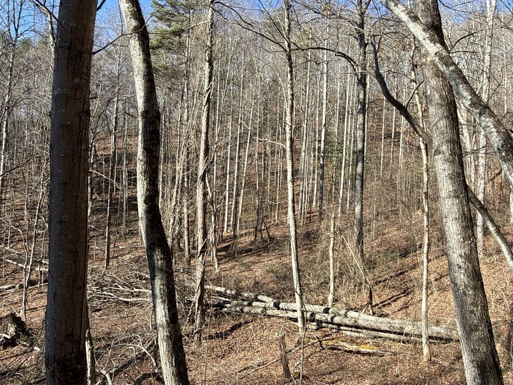 Picture 8