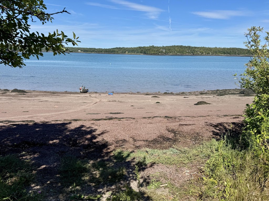 Picture 19