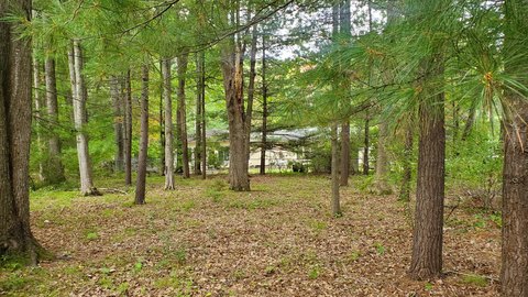 Land, Prudenville, MI