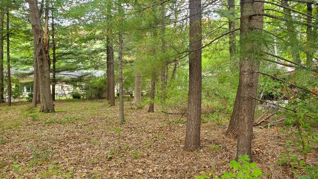 Picture 4