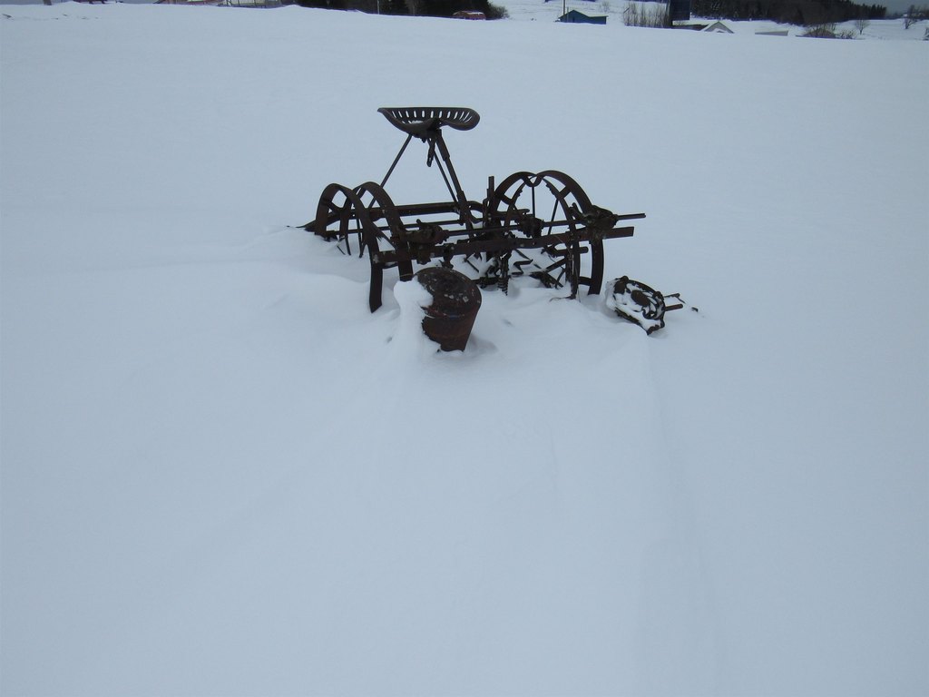 Picture 36