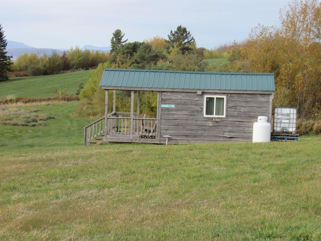 Picture 6