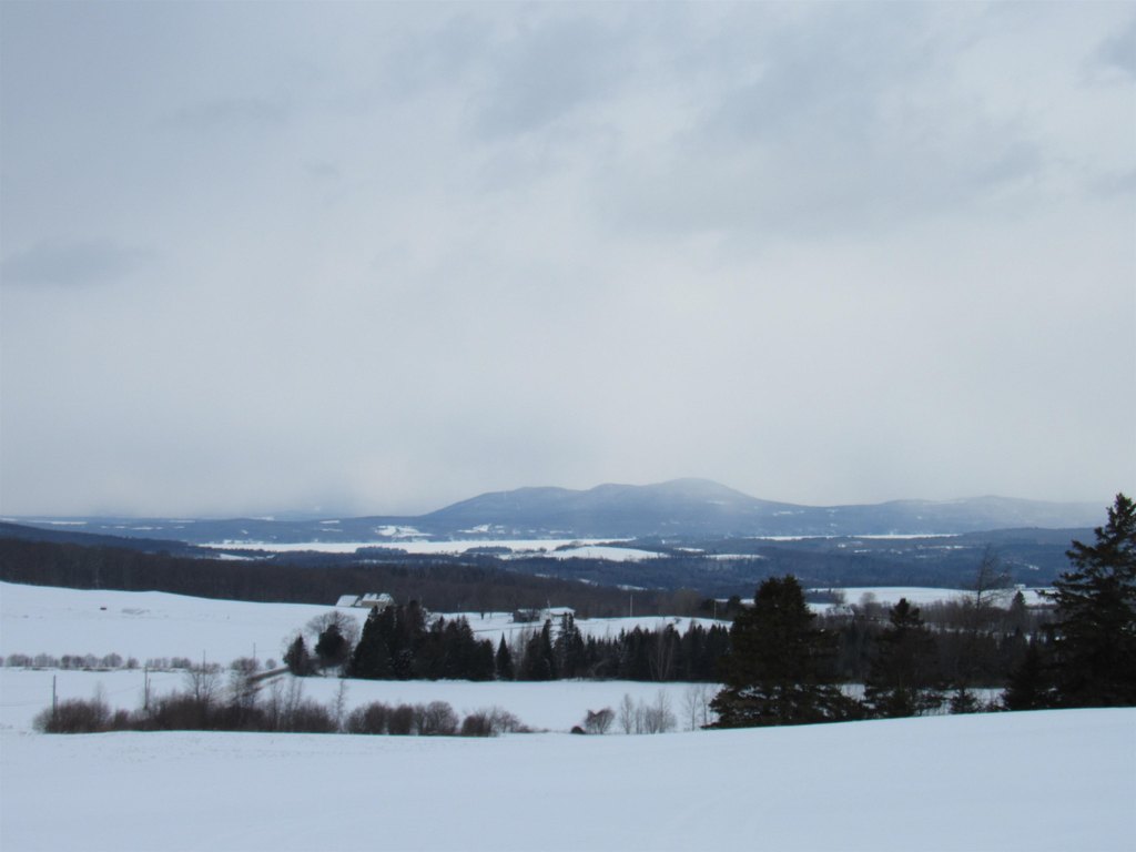 Picture 30