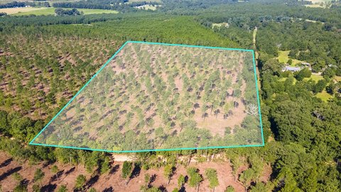 Aiken County Land Parcel