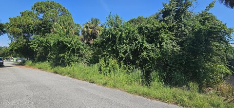 Residential Land in Cocoa, Florida