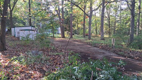 Wooded Land Near Houghton Lake