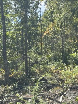 Land, Lovell, ME
