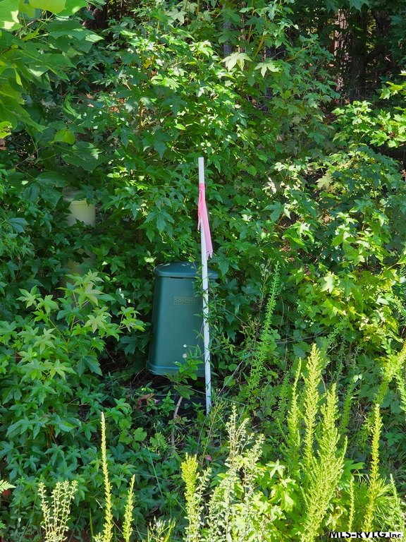 Picture 11
