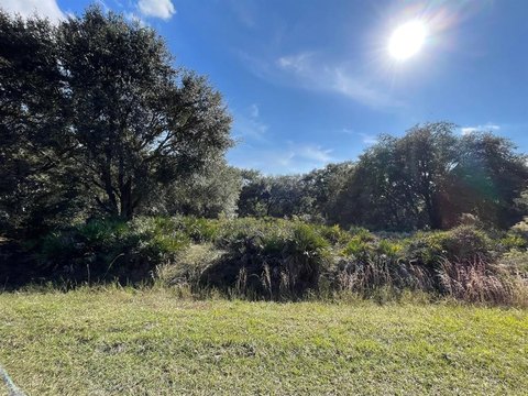 Okeechobee Residential Land Opportunity