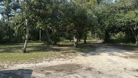Land, Steinhatchee, FL
