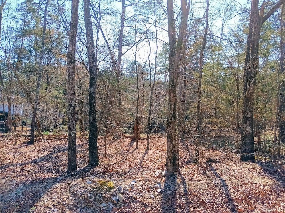 Picture 2