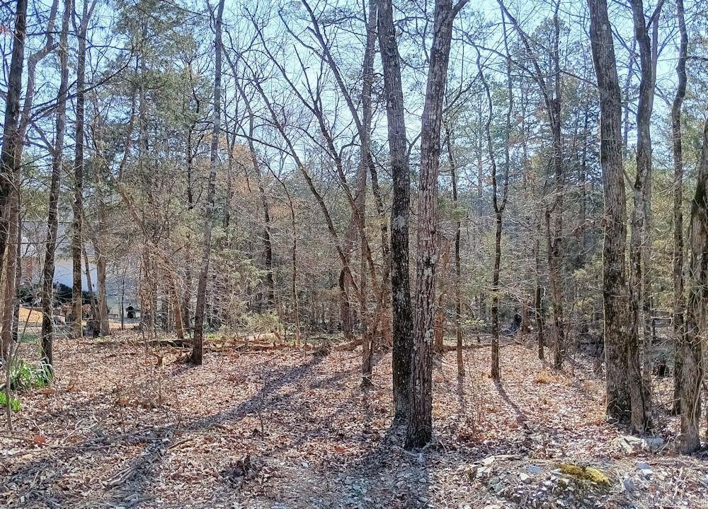 Picture 3