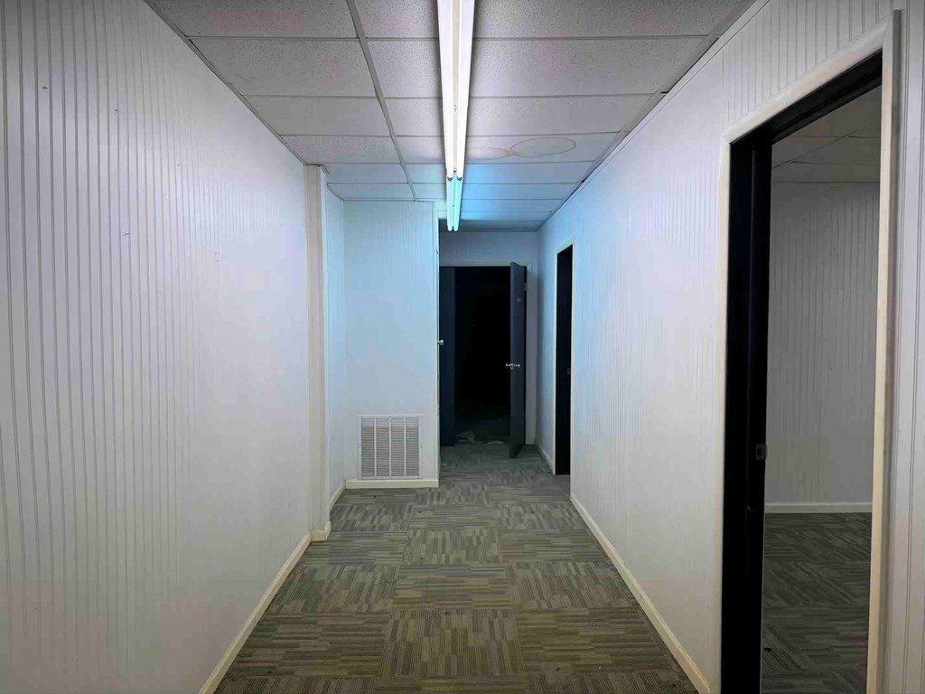 Picture 7