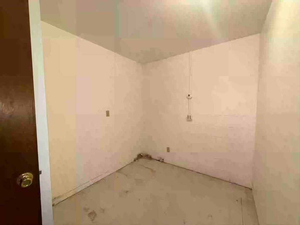 Picture 8