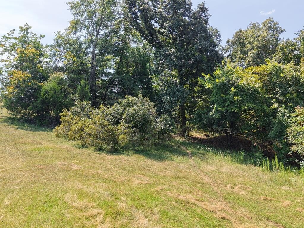 Picture 18