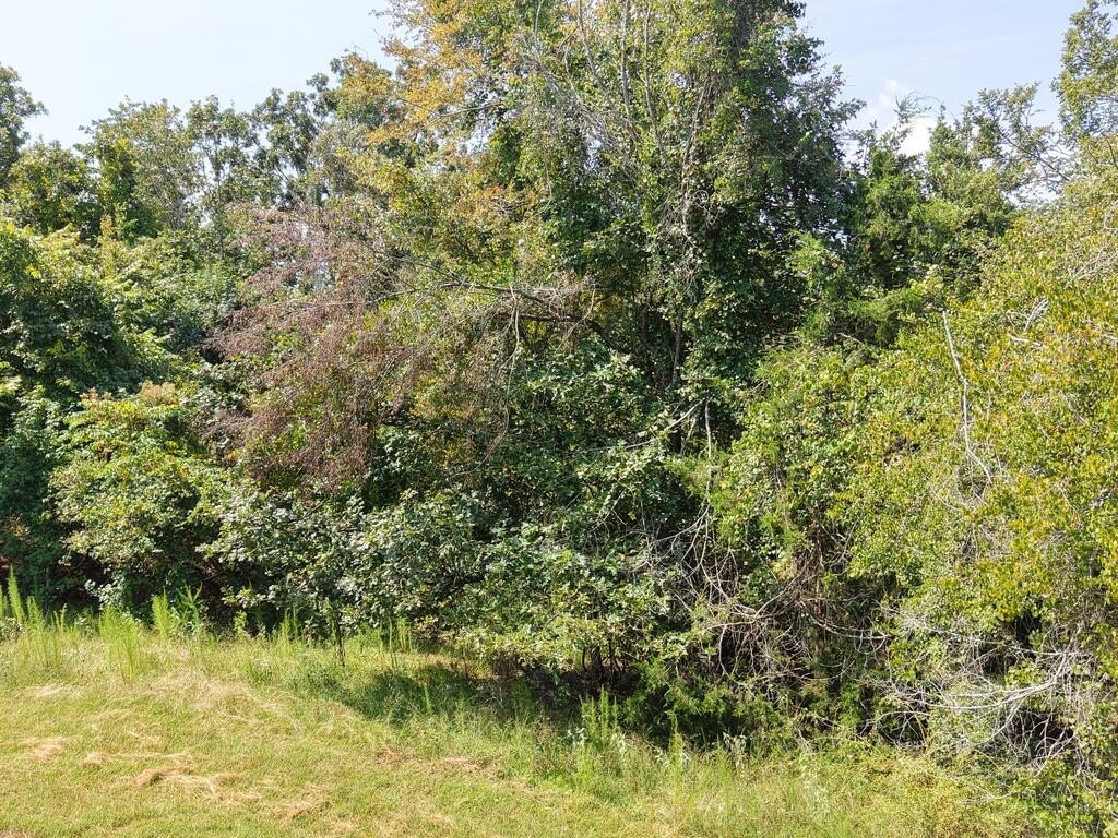 Picture 19