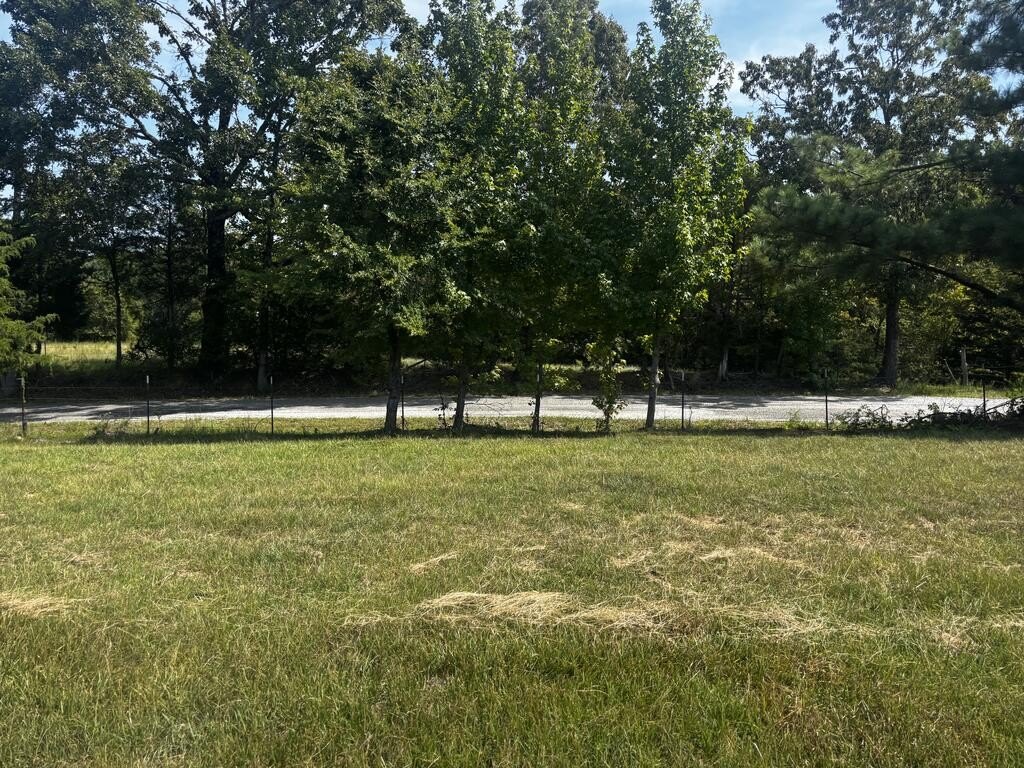 Picture 32