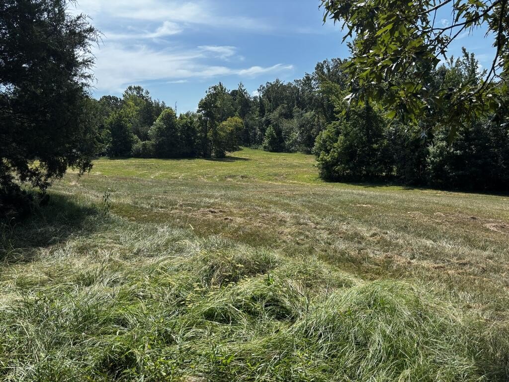 Picture 41