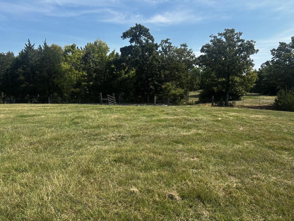 Picture 25