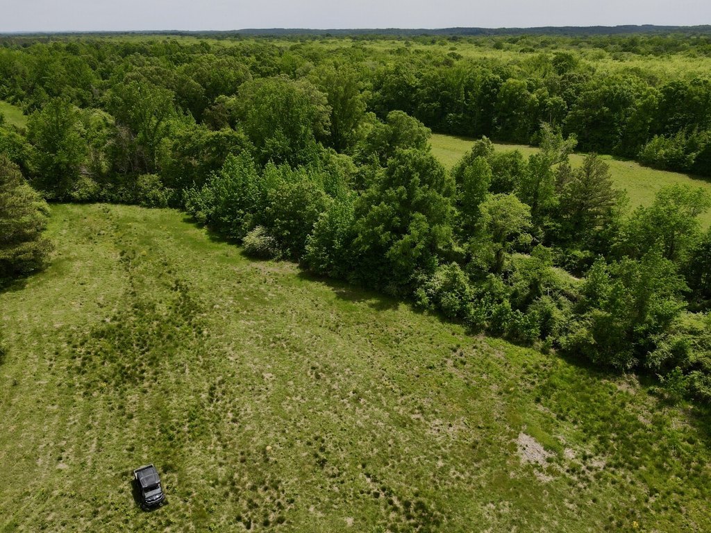 Picture 14