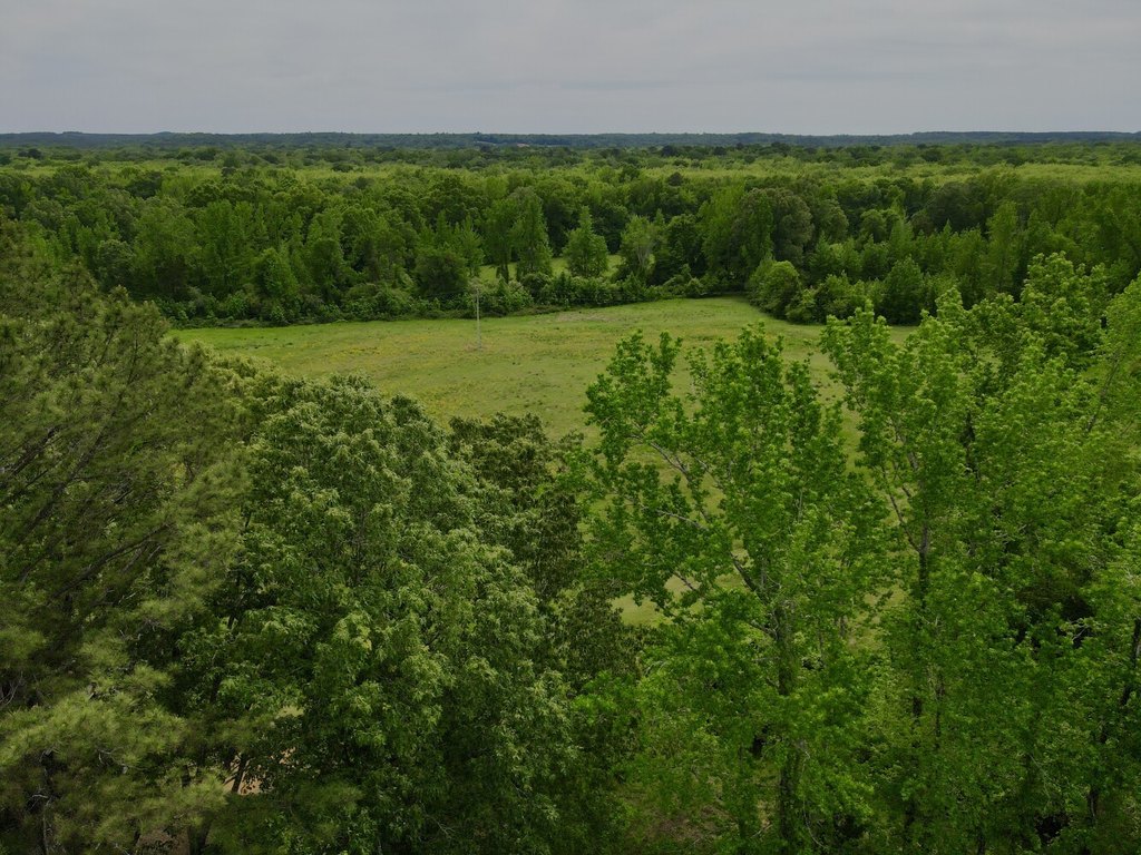 Picture 29