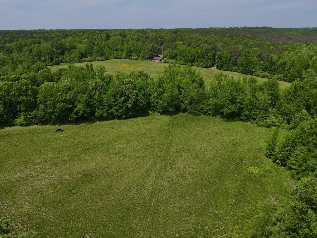 Picture 19