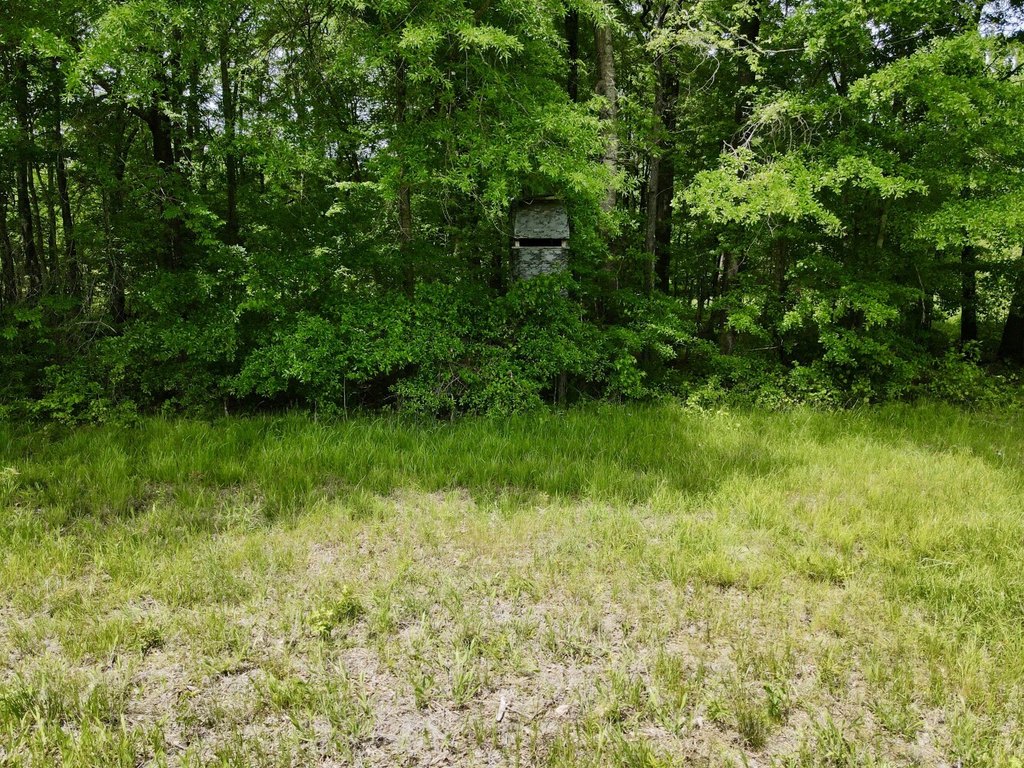 Picture 21