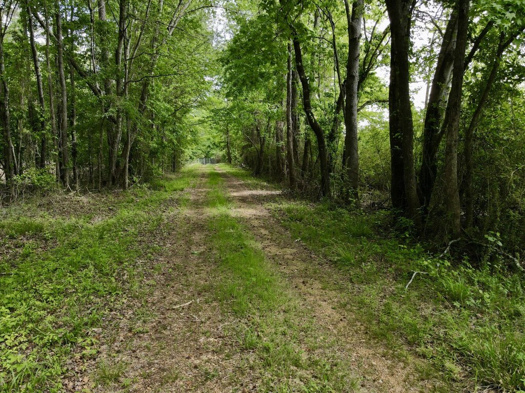 Picture 27
