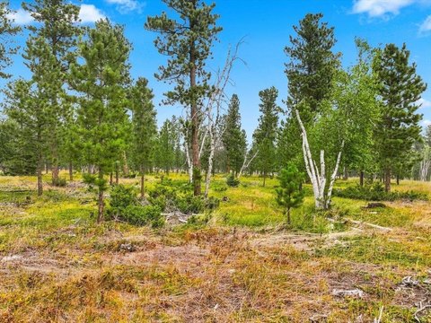 Residential Land in Powder House