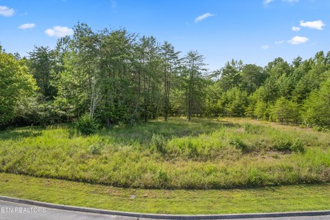 Wooded Lot Near Watts Bar Lake