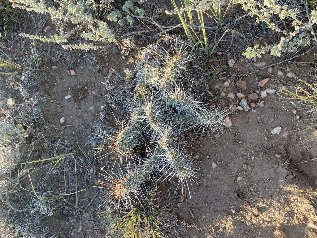 Picture 6