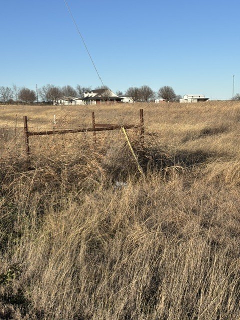 Picture 3