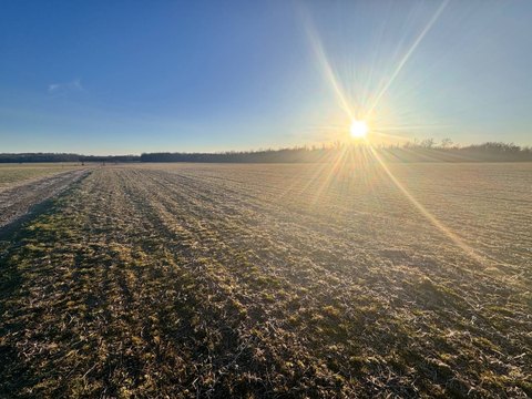 Productive Farmland Tract