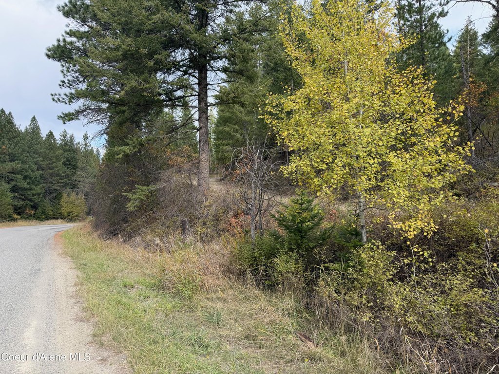 Picture 4