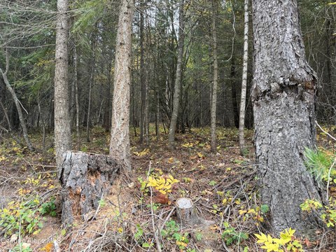 Bonners Ferry 5-Acre Parcel