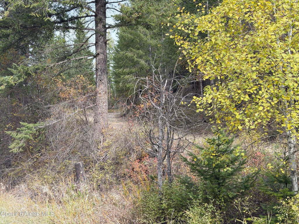 Picture 3