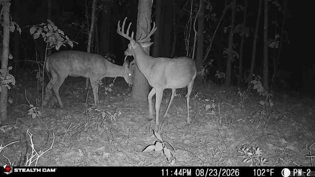 Picture 6