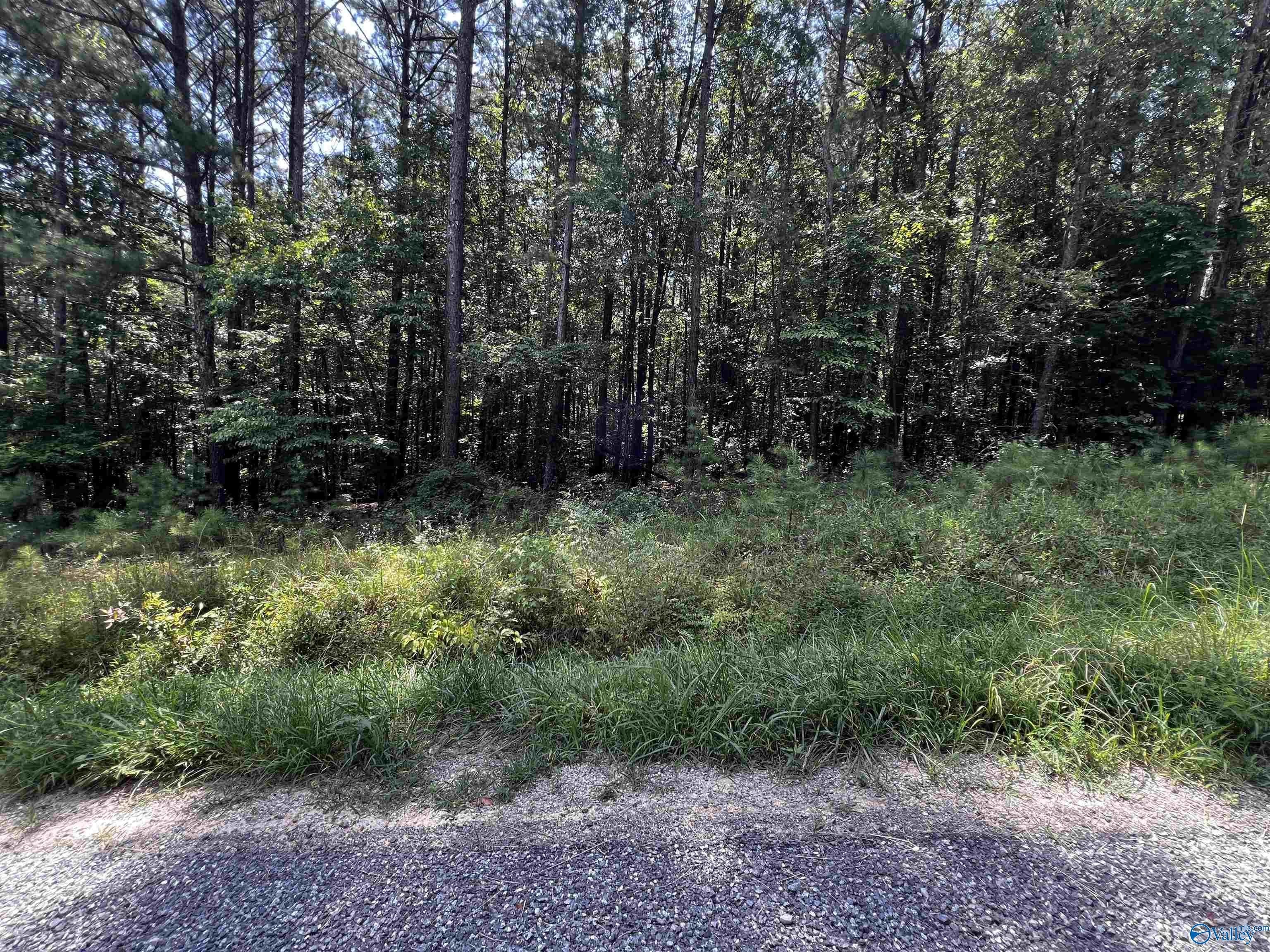 Land with Lake Access