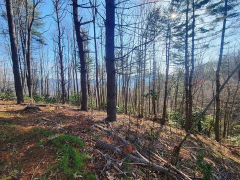 Waynesville Land with Mountain Views