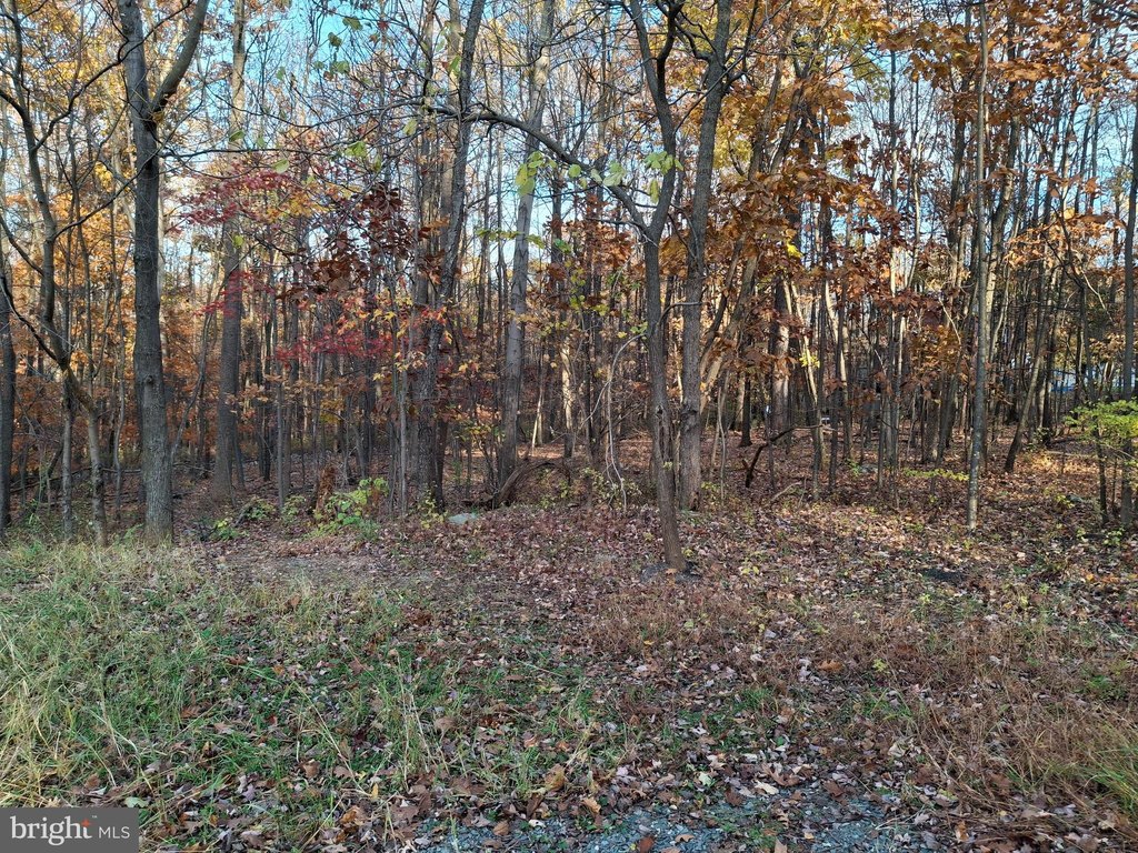 Picture 3
