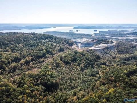 63 Acres Overlooking Lake Guntersville