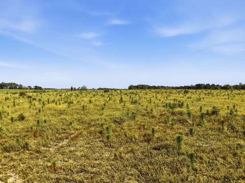 Land, DeFuniak Springs, FL
